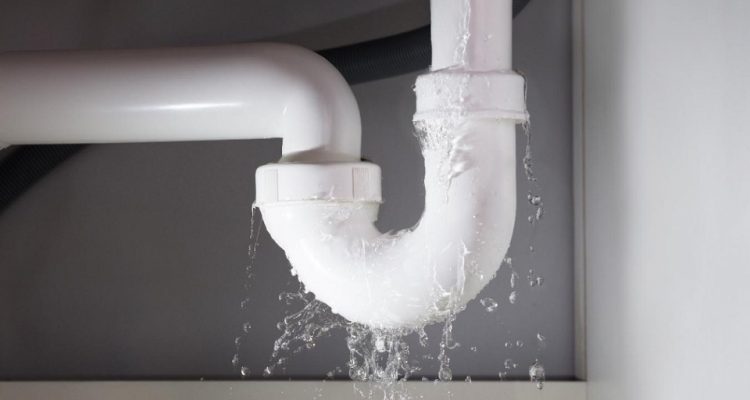 Signs You Have A Water Leak In Your Home